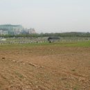 초지농장 이미지