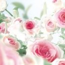 샤인모어 이미지