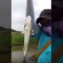 고척천 티스토리