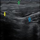 마디의원, 편한한의원 이미지