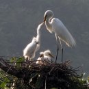 백로마을 이미지