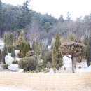 간석3동-35 이미지