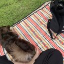 용당쉼터 이미지