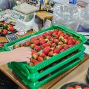 순이네농장 이미지