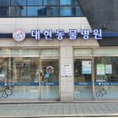 필동물종합병원 이미지