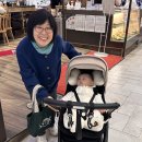 라온바라기 몰
