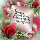 힘내시게 이미지