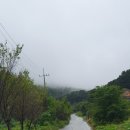 잣향기 자전거길 이미지