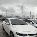 준1급모터스 이미지