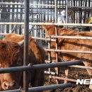 이병찬농장 이미지