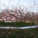 대환 농장 이미지