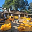 일로로이 이미지