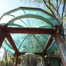 영풍두월리약사여래석불 | 영풍 두월리 약사여래석불