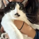 까치 뽑기방 이미지