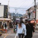 여우유부 이미지