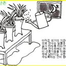 한국춘란 시월(10)달 배양관리/한국춘란 원예의 시조(월계난868) 이미지