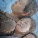 세자매 일간스포츠