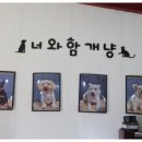 너와함개냥 이미지