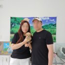 1867 | 옥정동강아지분양 말티푸분양 멍냥스타 방문 후기 (1867)