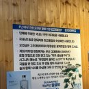 깍뚝숯불구이