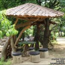 천만애능이백숙 이미지