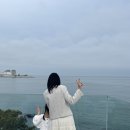 해맞이로 | [카페] 부산 기장에서 제일 이국적인 오션뷰맛집 웨이브온 내돈내산 방문후기