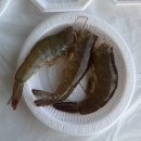 금학로339번길11 | 영종도 서해수산 본점 새우구이 대하 맛집 주차