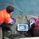 도 - 해돋이 이미지