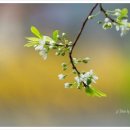 동쪽으로 이미지