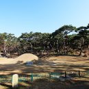 탈해왕릉 이미지