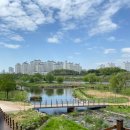 파주 운정호수공원 산책 후기 | 2024년 4월 봄