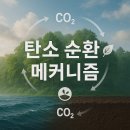 중산동 1958-10 주변 녹지 | 탄소 순환 메커니즘의 비밀