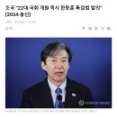 조국 &#34;22대 국회 개원 즉시 한동훈 특검법 발의&#34; 이미지