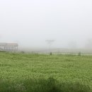 보롬제주