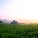 정우성목장 이미지