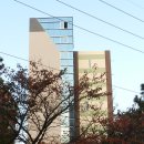 제일.쌍봉시장 이미지