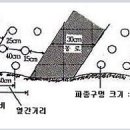 땅콩영농계획 이미지