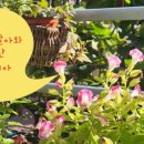 이화마을 작은도서관 이미지