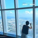 토리백반 | 롯데월드타워 전망대 구경 서울스카이 예약 가격 할인 후기