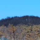 지난 의성에서 넘어온 산불이 영덕 지역마다 주택과 산을 전쟁 터 같이 변했습니다ㆍ너무 참담하고 말을 못할 정도로 너무 안타갑습니다ㆍ 이미지