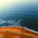 바른치과교정과치과의원 이미지