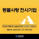 천사캣 이미지
