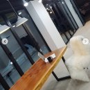 교육대학교기숙사(여자) 이미지