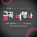금곡국제여행사 - 중구 남대문로9길 40 | 금곡국제여행사