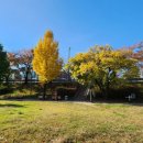 남대천새벽시장 이미지