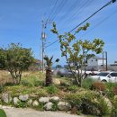 장모님돌솥밥집 이미지