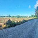 함덕초등학교선인분교 이미지