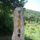 천등농장 이미지