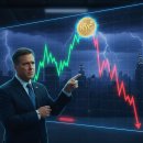 골든바나나소프트 이미지