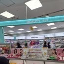 양산보람건강기능식품 | 쇼핑 천국 <다이소 롯데몰광명점> 다이소 화장품, 다이소 우산(장마대비), 다이소 건강기능식품 영양제